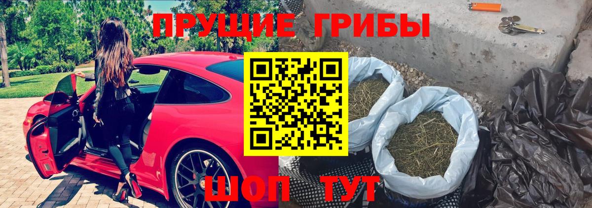 Галлюциногенные грибы GOLDEN TEACHER  Вход с VPN  сколько стоит  Назрань 