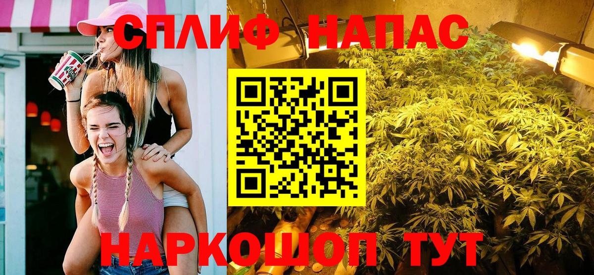Конопля сатива Назрань